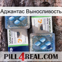 Аджантас Выносливость viagra5